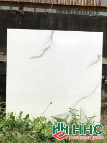 Gạch men 60x60 fico